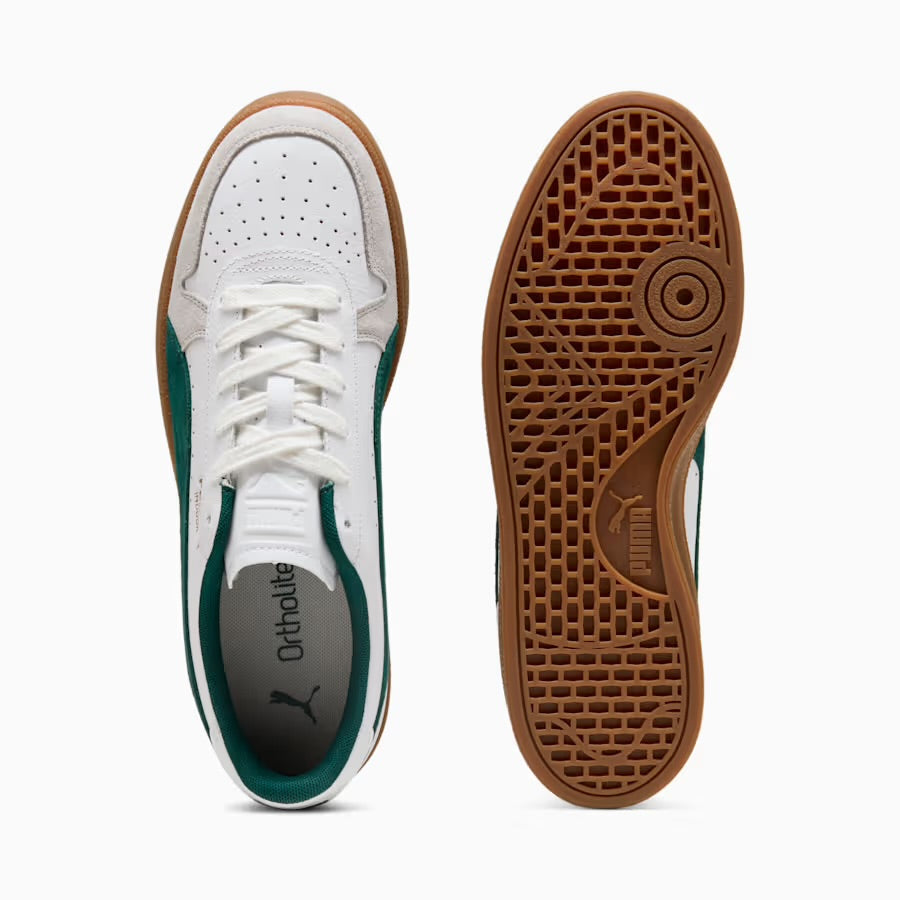 Puma Indoor